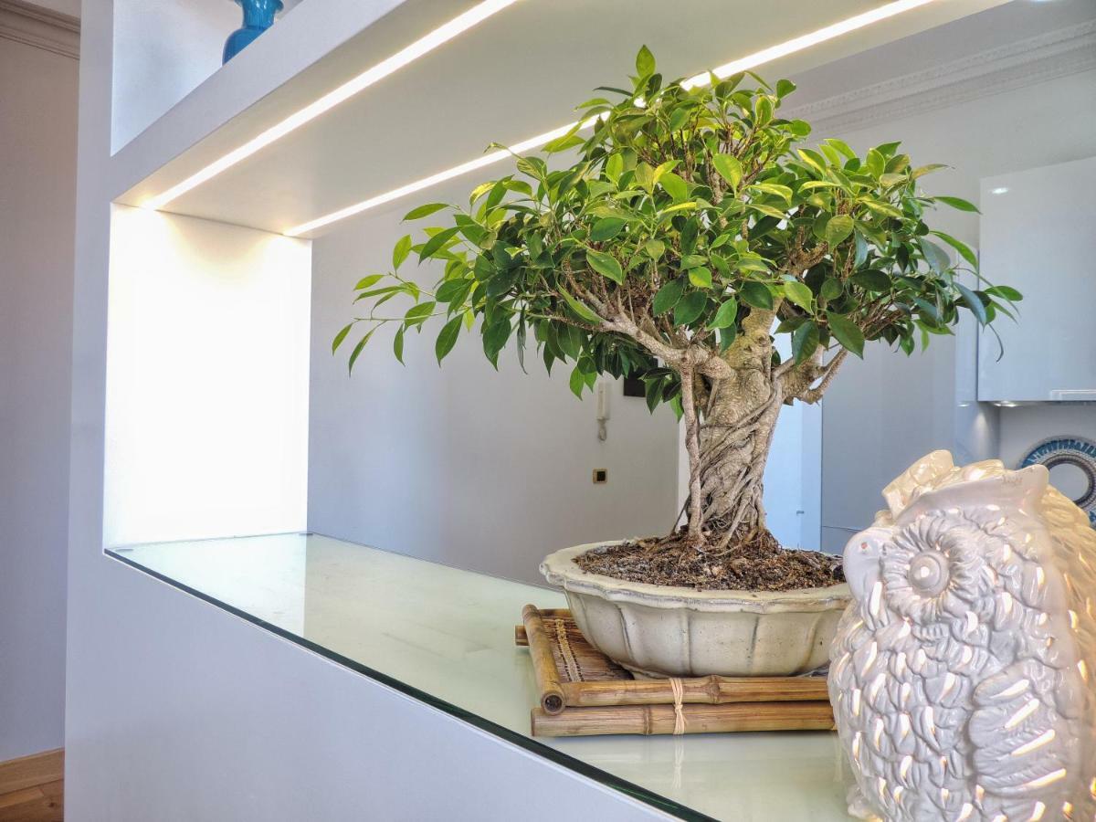 Apartment Frattina At